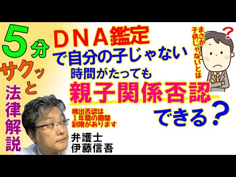 親子鑑定について詳しく解説