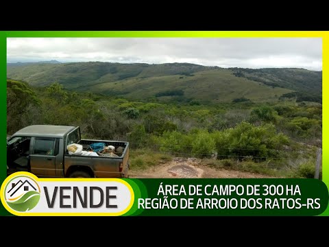ÁREA DE CAMPO DE 300 HA NA REGIÃO DE ARROIO DOS RATOS-RS