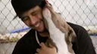 Carlito Gets Adopted | Pit Bulls and Parolees