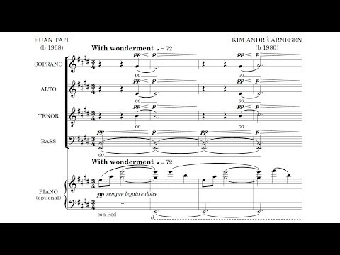 Falling into Mercy - Kim André Arnesen