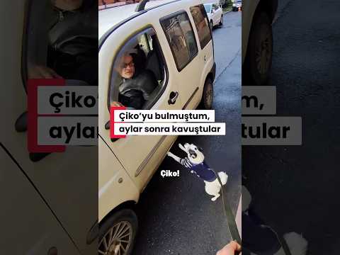 …ve mutlu son🥰🥰