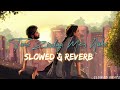 Tune Zindagi Mein Aake Lo Fi Slowed X Reverb Udit Narayan 90s Evergreen Hits Songs