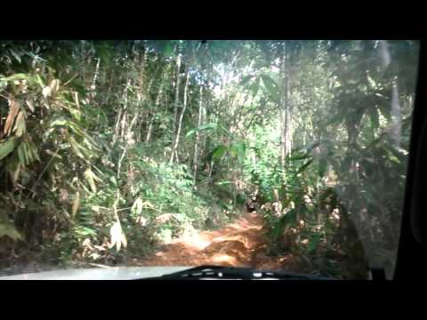 Jipeiros de Santo Antônio da Platina - Passeio Radical Fenajeep 2014 - 3