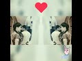 Gazab Ka Hai Din Short WhatsApp Status Video
