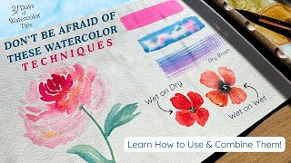 3 Core Watercolor Techniques for Beginners: Wet-on-Wet, Wet-on-Dry, & Dry Brush