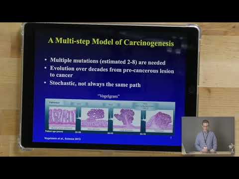 2019 STAT115 Lect18.1 Overview of Cancer Genetics