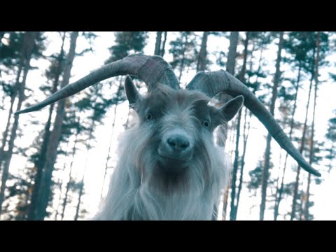 BOLAGET - FINGRARNA I HALSEN (OFFICIELL MUSIKVIDEO)