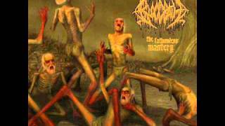Bloodbath - Wretched Human Mirror (*LYRICS*)