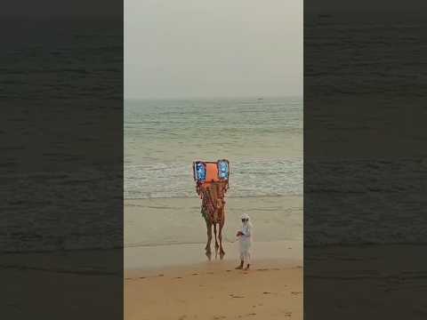 #seaside#view#camel#enjoyingeverydaylife #foryou #viral#shortvideo #trending #hawksbay#karachi