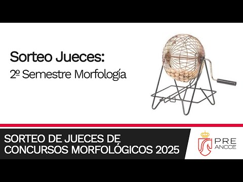 Sorteo Jueces de Concursos 2025: 2º Semestre Morfología