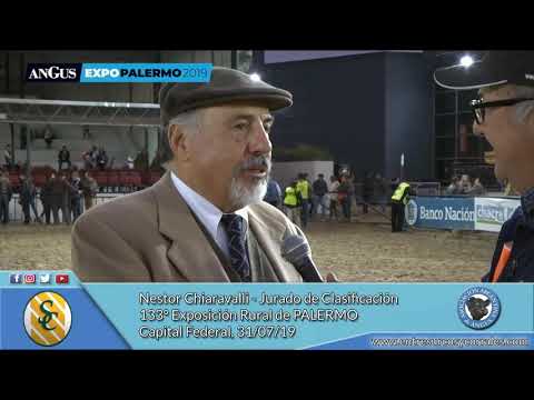 31-07-19 - Nestor Chiaravalli - Jurado de Clasificación - 133° Expo. Rural de Palermo - Cap. Federal