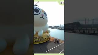 (影)童子瑋釋出基隆黃阿瑪縮時影片 網友直呼超可愛