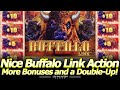 Nice Buffalo Link Action More Free Games And Hold Spin Bonuses With A Quick Double Up Session