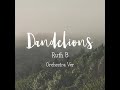 Dandelions - Ruth B Orchestra Ver