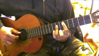 SILENTIUM - Autumn Heart (acoustic cover)