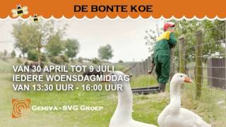 preview picture of video 'De Bonte Koe - Advertentie op TV - 15 seconden'