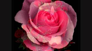 John Clayburn  LA VIE EN ROSE