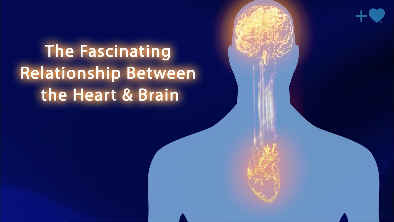 THE FASCINATING RELATIONSHIP BETWEEN THE HEART AND THE BRAIN thumbnail