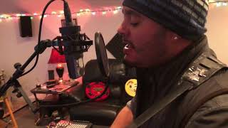 Tony Marshall Mandolin Rain Cover