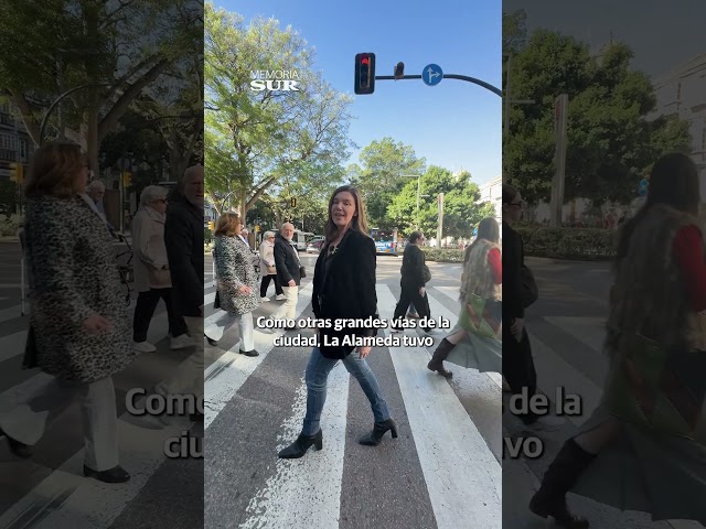 Vídeo relacionado con Los orígenes del urbanismo moderno en Málaga: El Paseo de la Alameda: 7 (2-A (Arte y Arquitectura))