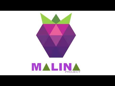 Malina Project DJ_Kira_Platinum_the_Trinity