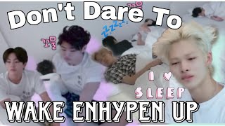 Download lagu Enhypen Waking Up in Tiny Baby mp3