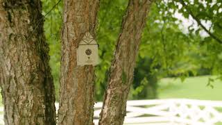 PetSafe Quiet Your Dog's Barking with PetSafe Outdoor