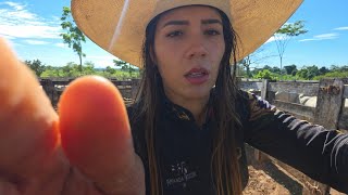 PENSA NUM DIA DIFÍCIL NA LIDA! Foi luta grande
