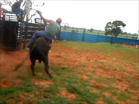 Creber treino no renato nunes