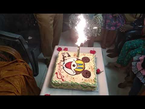 Birthday celebration of Veeksha