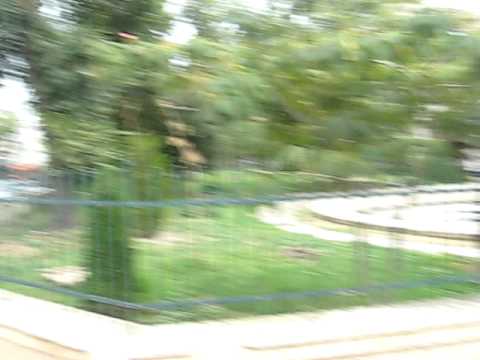 La parada RATB 100 de ani intr-un ITB V56