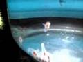 Sea Alien