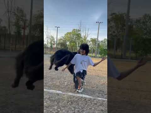 этой дружбе нет ничего фальшивого!