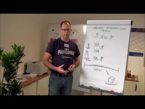 The Nexus Integration Team Explained