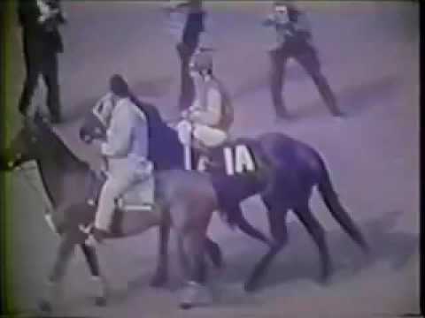 Secretariat A Moment of Eternity mp4