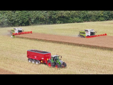2x CLAAS LEXION 8000 🇫🇷/ Moisson de Colza / Krampe SK800 🔴 / FENDT 728 Design line 💨 / ETA DEBRAY