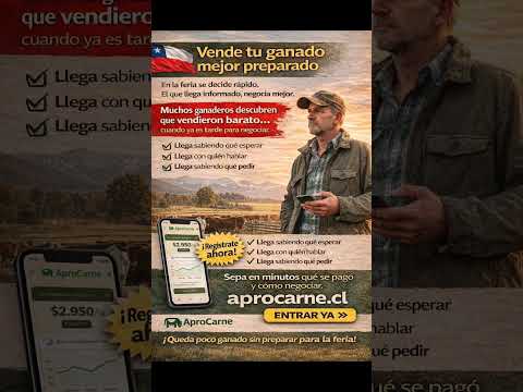 Felicitaciones a Ferias Araucanía, segundo lugar Ferias Bernedo. #Ranking