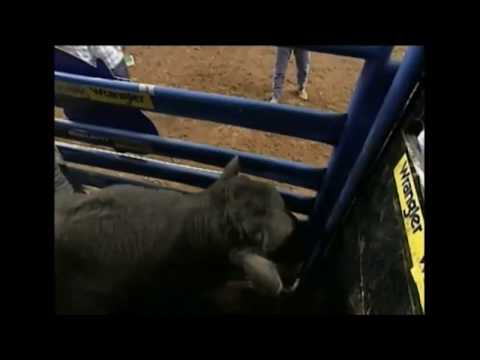 Locomotive Breath bucks Mike Collins - 02 PBR Greensboro