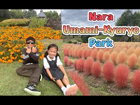 Nara Umami-Kyuryo Park Japan