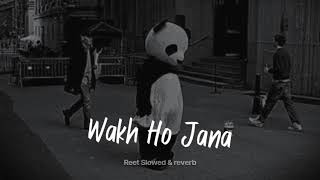 Wakh Ho Jana(slowed+reverb)  Reet