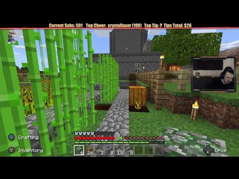 Minecraft "Chill Stream" Feb. 21, 2019 pt1 - Storage Expansion and SKELETON HORSEMEN?!?!