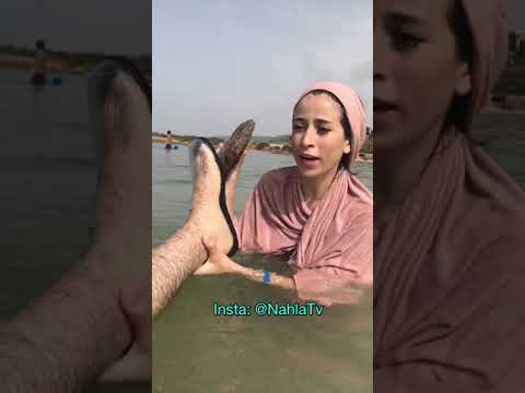 العائلة الجزائرية في البحر الجزء الثاني