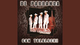 Por una Mujer Bonita (En Vivo Con Tololoche)