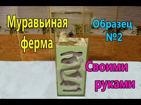 Муравьиная ферма (Формикарий) своими руками . ANT FARM