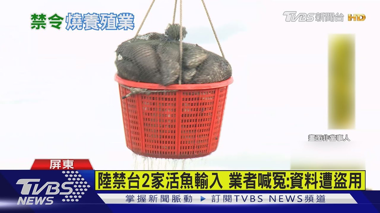 石斑魚驗出禁藥 陸暫停台2漁場活魚進口