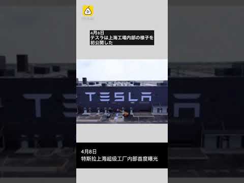 積極的な生産目標: テスラ工場では労働者に膝を押し付ける