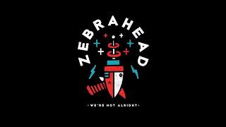 Zebrahead - We&#39;re Not Alright - Official Lyric Video