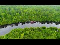 UNFORGETTABLE Jungle River Adventure In Tajung Puting Borneo Things To Do In Indonesia 2025