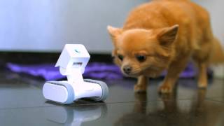 Playtastic Air-Fußball Action-Set mit Luftkissen-System