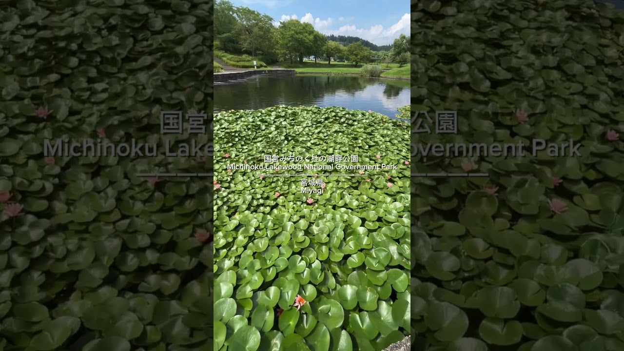 YouTube Short thumbnail